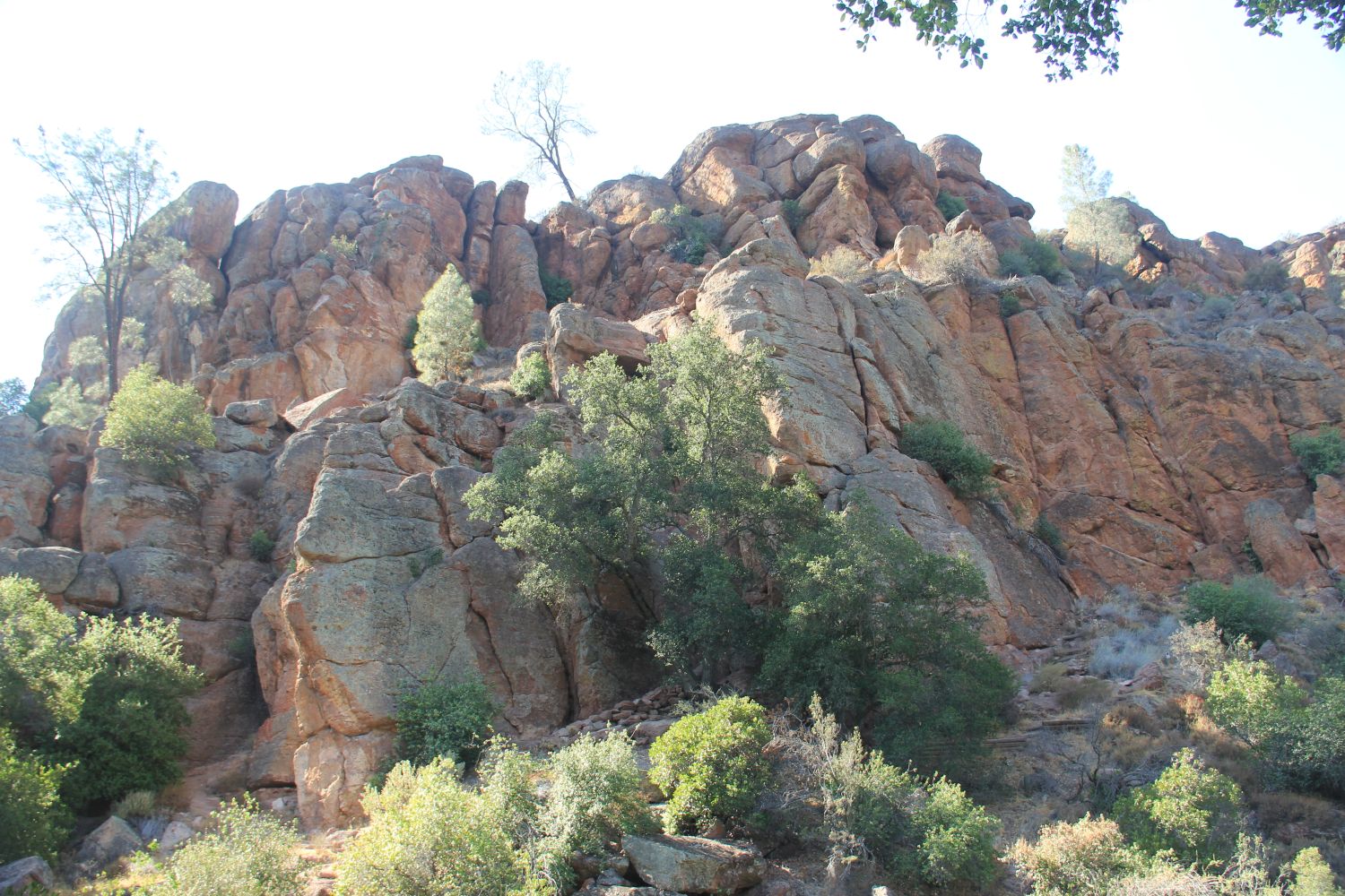 Bear Gulch Cave Trail 